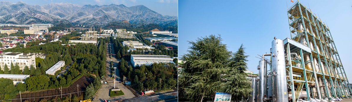 2025世俱杯官方用球