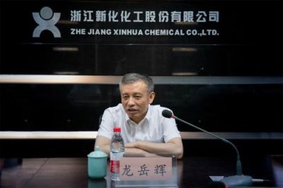 省税务局党委书记、副局长龙岳辉莅临公司调研